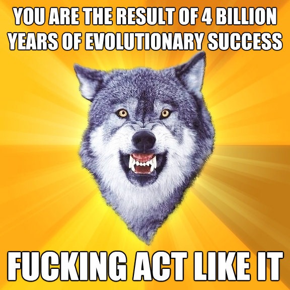Courage Wolf Evolution[4].jpg (100 KB)